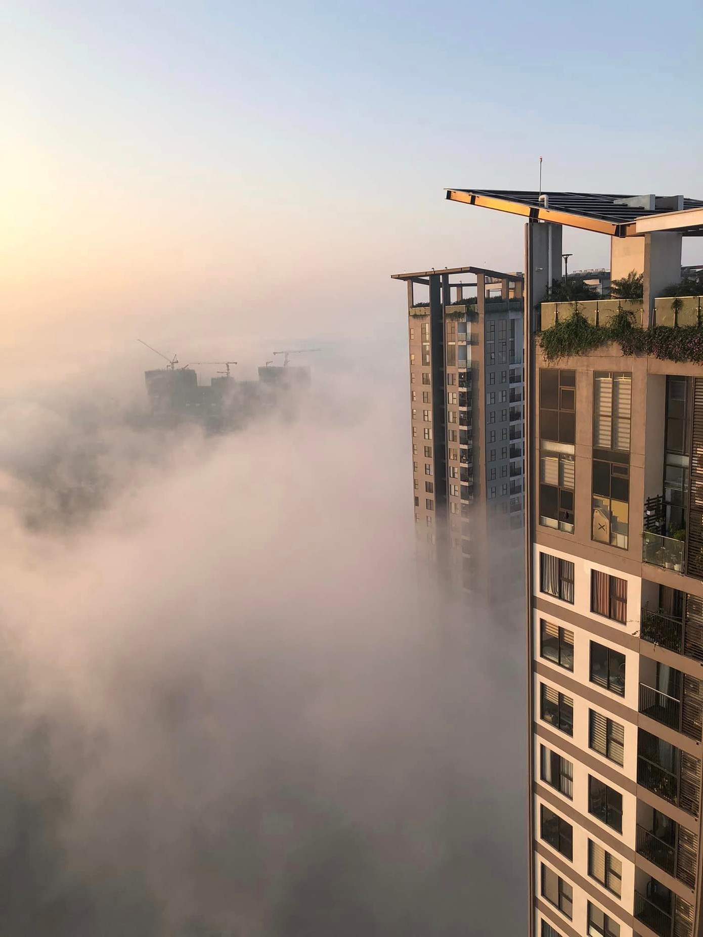 Ảnh: Layla Nguyễn, Khôi Nụ Cười