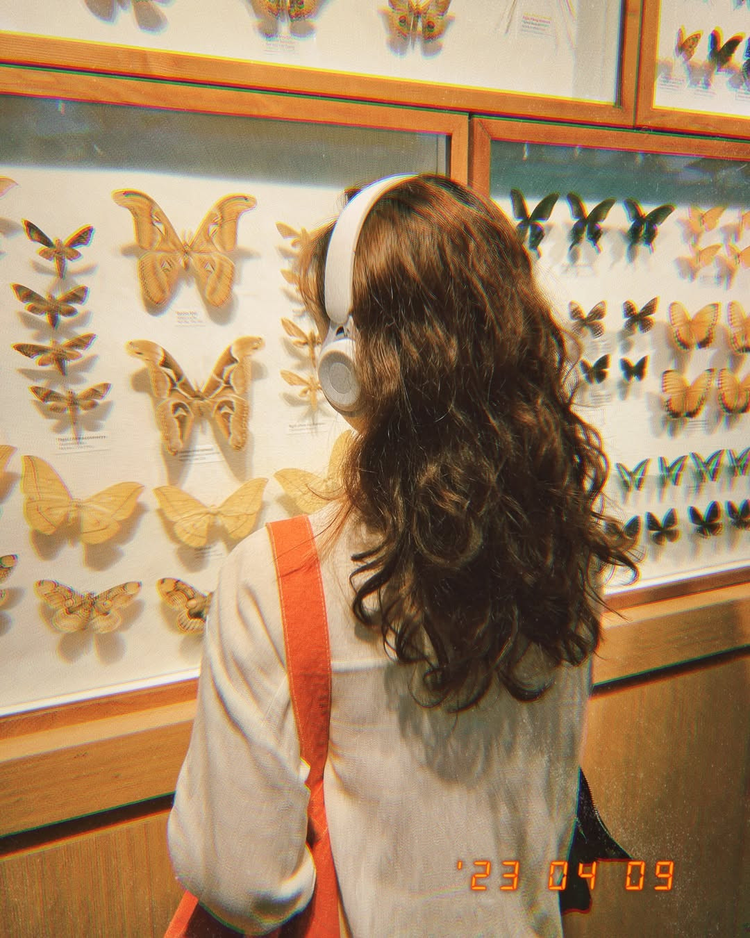 Ảnh: a.chubbychuuu, Page Bảo tàng Thiên nhiên Việt Nam Ảnh: a.chubbychuuu, Page Bảo tàng Thiên nhiên Việt Nam