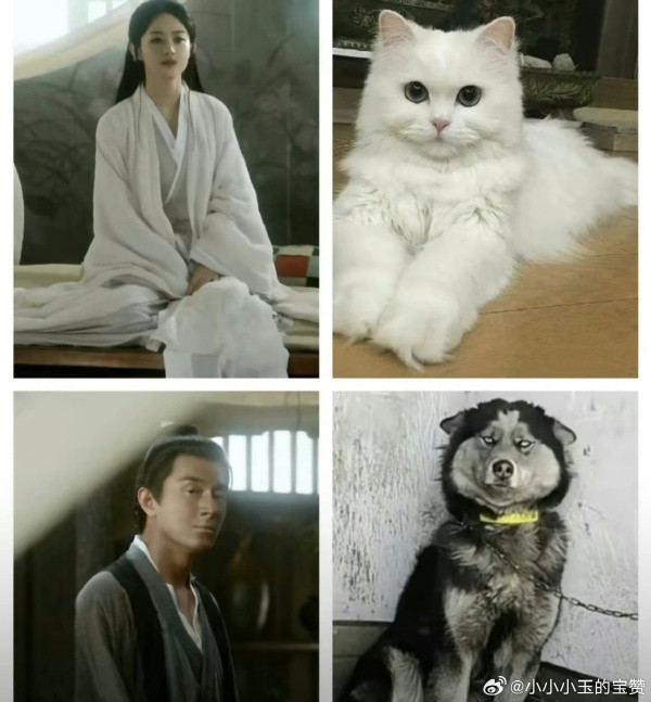 Nỗ lực cải trang của Hành Chỉ trở thành meme mới của Cnet. Nỗ lực cải trang của Hành Chỉ trở thành meme mới của Cnet.