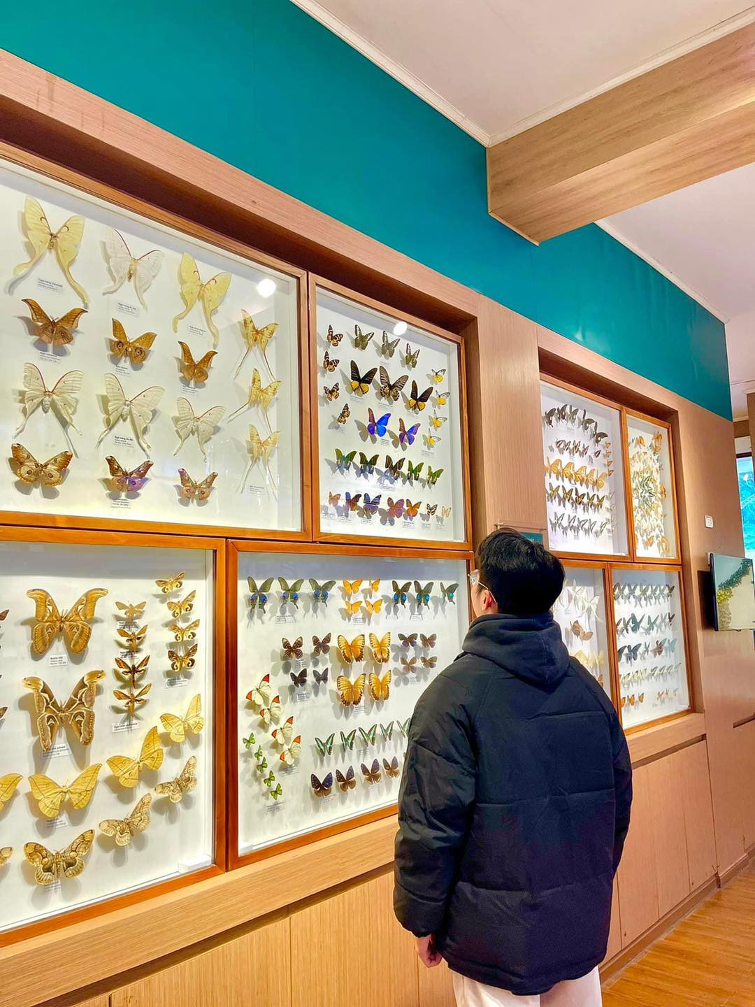 Ảnh: a.chubbychuuu, Page Bảo tàng Thiên nhiên Việt Nam Ảnh: a.chubbychuuu, Page Bảo tàng Thiên nhiên Việt Nam