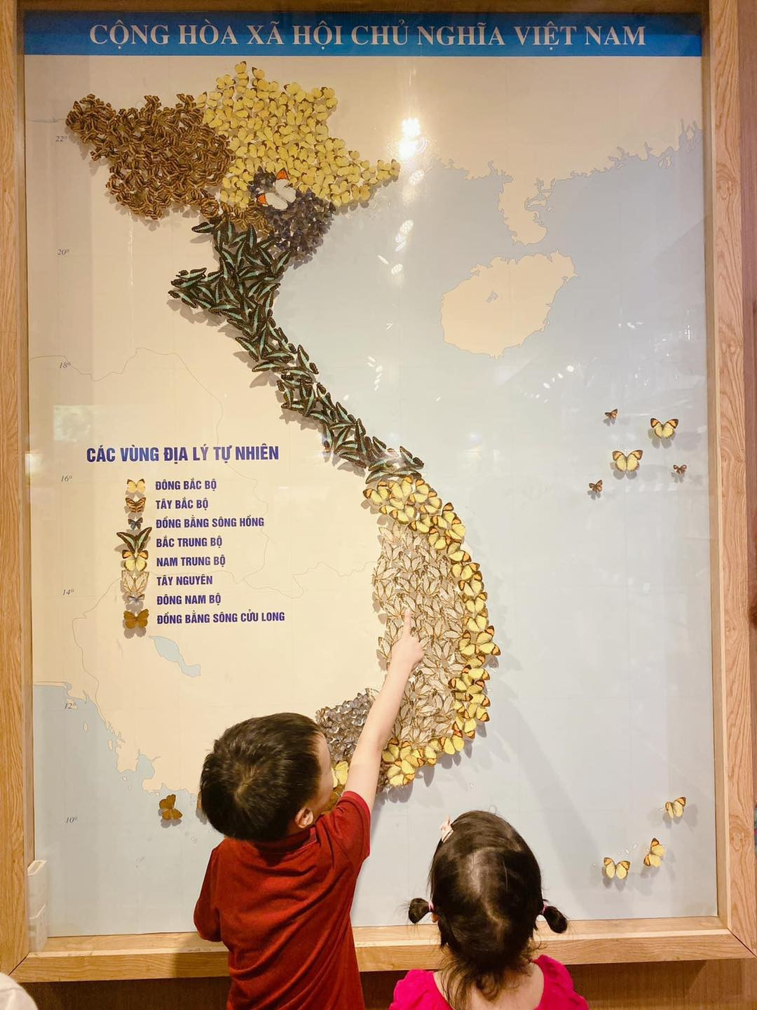 Tiêu bản bươm bướm được xếp thành hình bản đồ Việt Nam. - Ảnh: Page Bảo tàng Thiên nhiên Việt Nam. Tiêu bản bươm bướm được xếp thành hình bản đồ Việt Nam. - Ảnh: Page Bảo tàng Thiên nhiên Việt Nam.