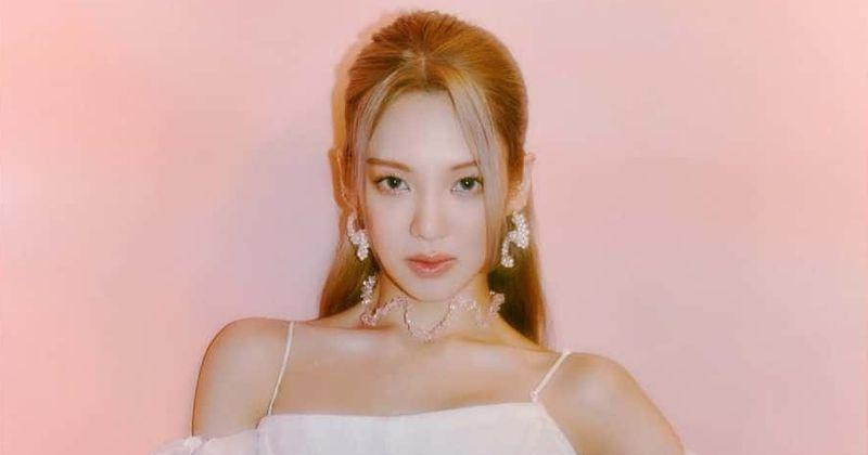 Vnet cũng "cạn lời" trước màn "khởi nghiệp" không thành này của Hyoyeon. Vnet cũng "cạn lời" trước màn "khởi nghiệp" không thành này của Hyoyeon.