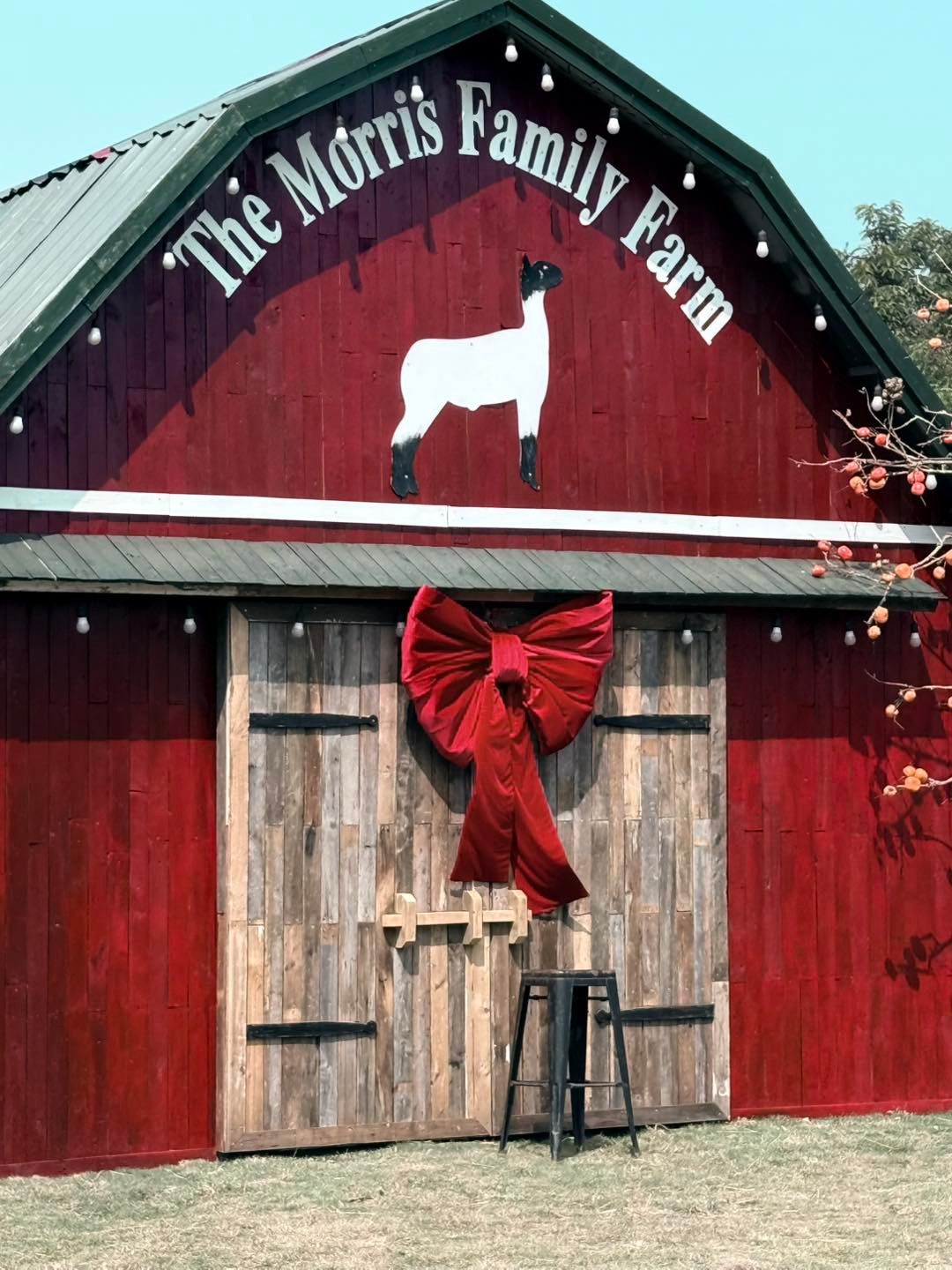 Ảnh: Santorini Park