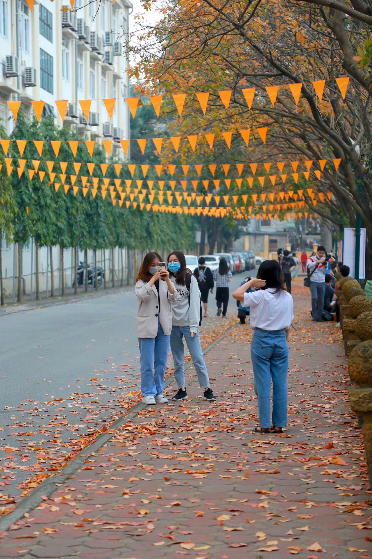 "Con đường tình yêu" của trường Đại học Sư Phạm vào mùa thay lá được ví như một khung cảnh trong phim Hàn Quốc. - Ảnh: Văn Đạt