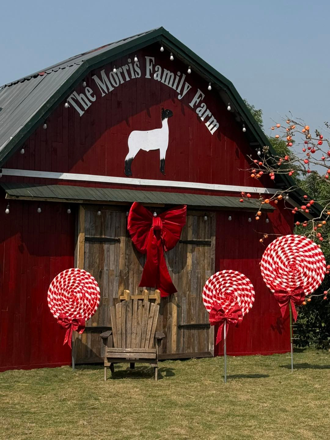 Ảnh: Santorini Park