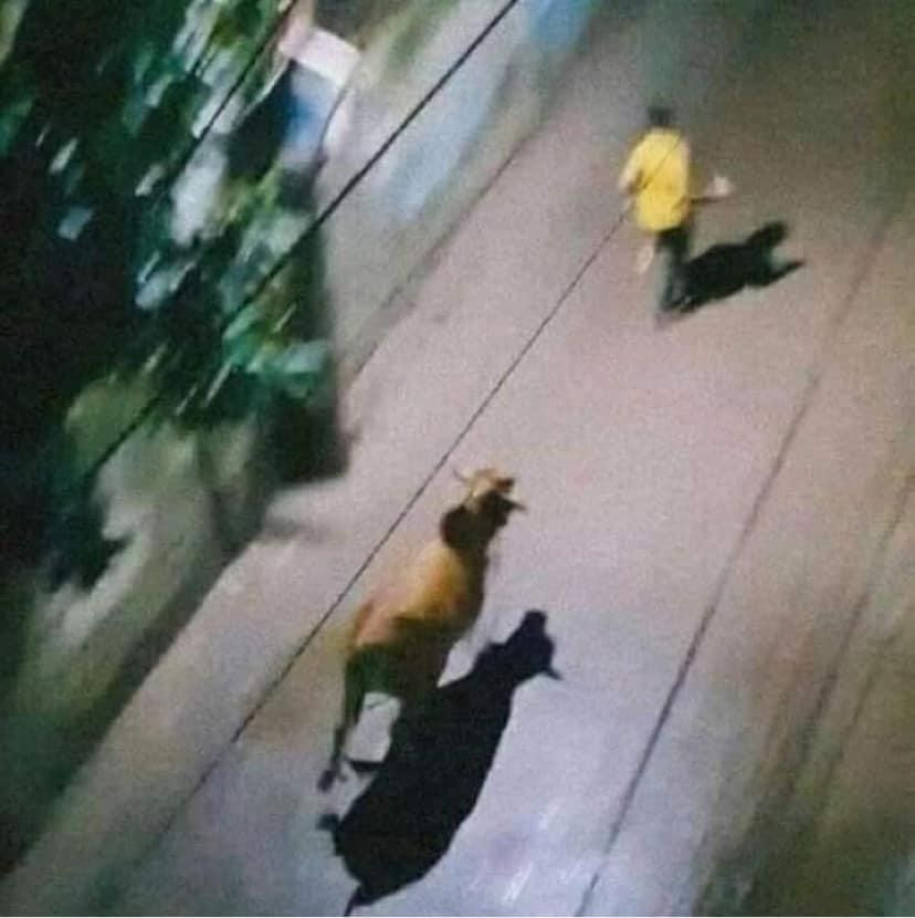 Và đây là "chân dung" bức ảnh gốc được fan K-Pop đua nhau chế meme cho các idol.