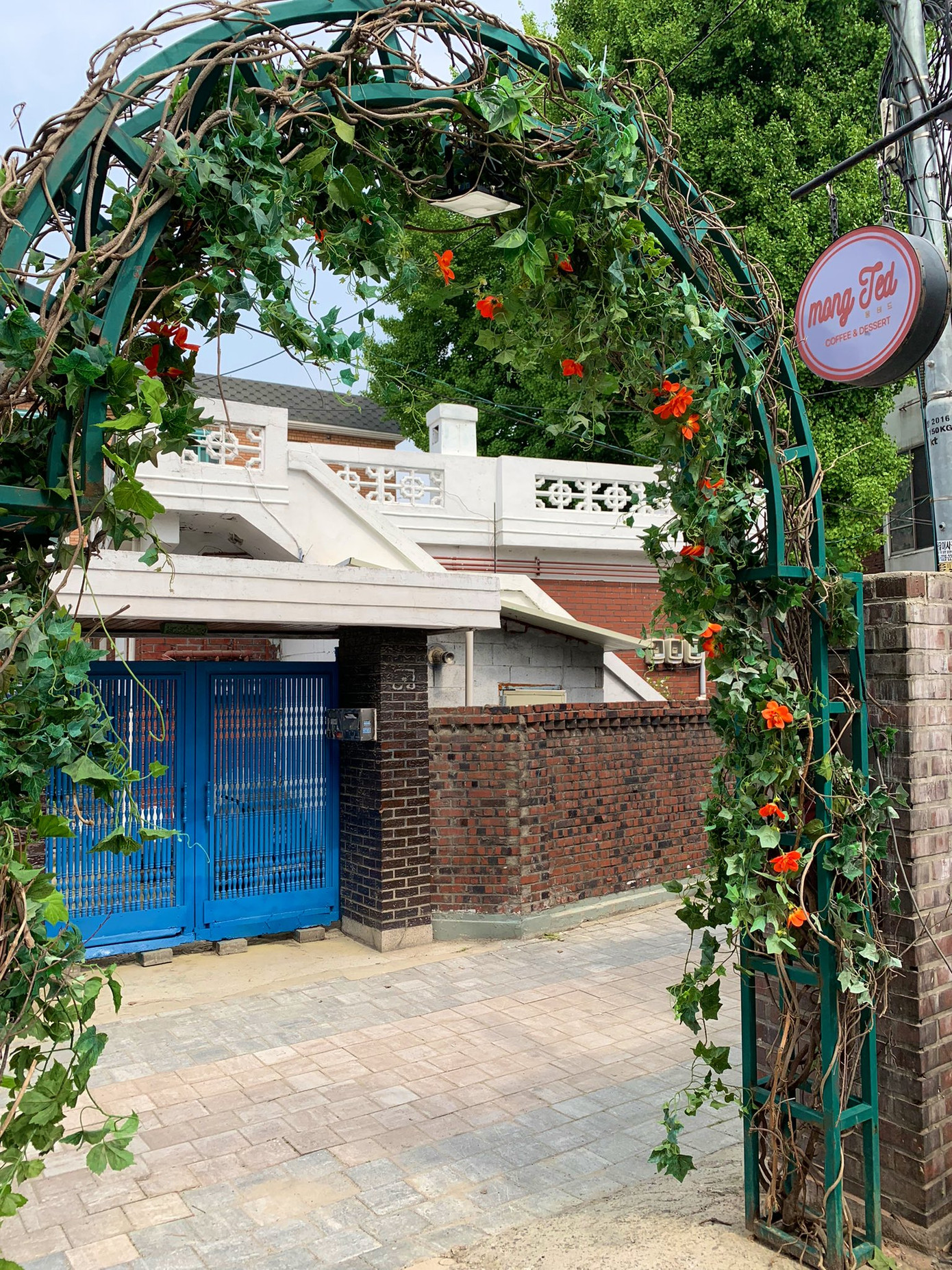 Cổng quán hiện tại, hoa đăng tiêu đã tàn nhiều, nhìn từ phía trong ra, sẽ thấy đối diện là chiếc cổng xanh dương quen thuộc - nhà của Sun Jae.