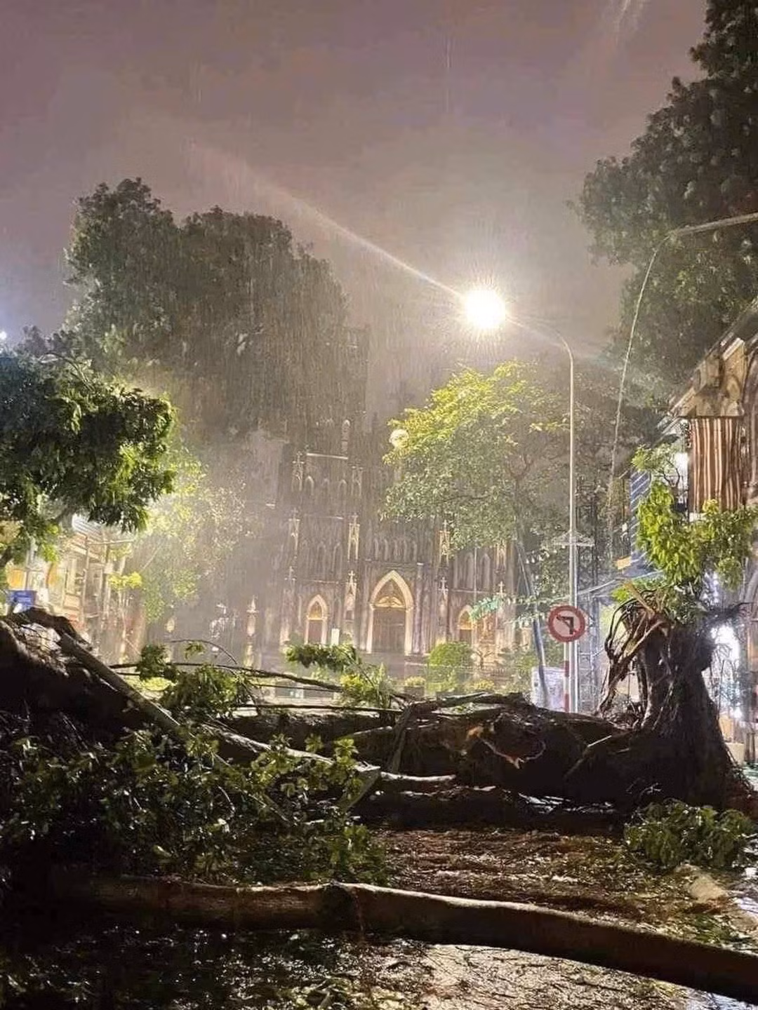 Cây cổ thụ ở trước nhà thờ lớn bị quật đổ. - Ảnh: travel.w.minh_photo