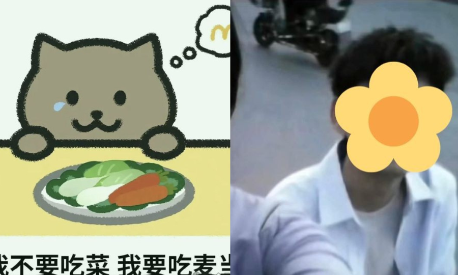 Đám đông gần như bị thao túng tâm lý và hành vi trong câu chuyện chàng trai Mèo Béo. Đám đông gần như bị thao túng tâm lý và hành vi trong câu chuyện chàng trai Mèo Béo.