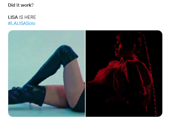 Nguồn: @lizmydarling Nguồn: @lizmydarling