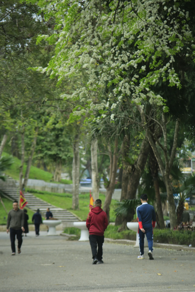 Ảnh: dunggiastw68.hanoi