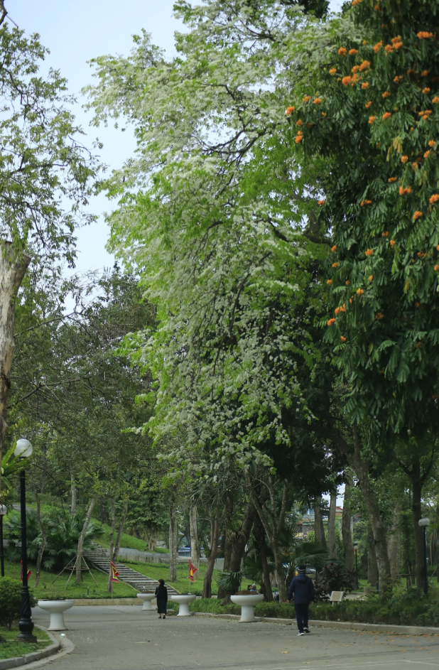 Ảnh: dunggiastw68.hanoi