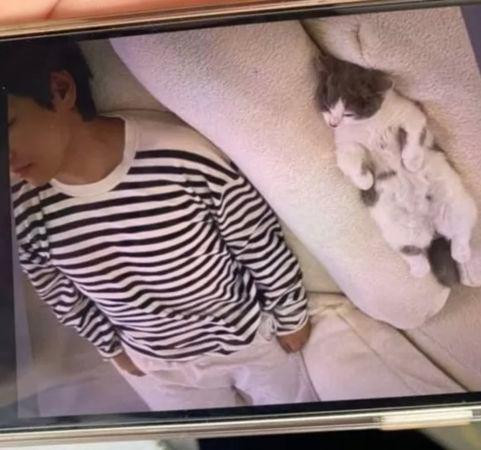 Trong loạt ảnh bị tung ra trước đó, cũng có một bức ảnh được cho là V đang chụp tại nhà của Jennie và mẹ nữ idol. Nam thần tượng nằm dưới đất và bắt chước chú mèo - được cho là thú cưng của mẹ Jennie. Trong loạt ảnh bị tung ra trước đó, cũng có một bức ảnh được cho là V đang chụp tại nhà của Jennie và mẹ nữ idol. Nam thần tượng nằm dưới đất và bắt chước chú mèo - được cho là thú cưng của mẹ Jennie.