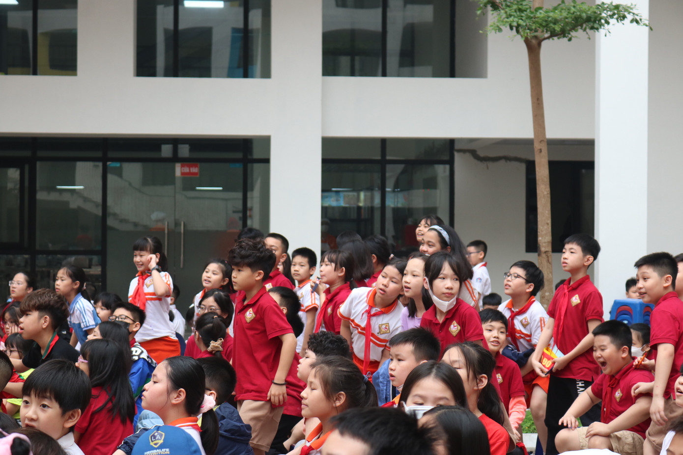 Tween chưa có cơ hội tham gia thực hành cũng nhấp nhổm, háo hức theo dõi.