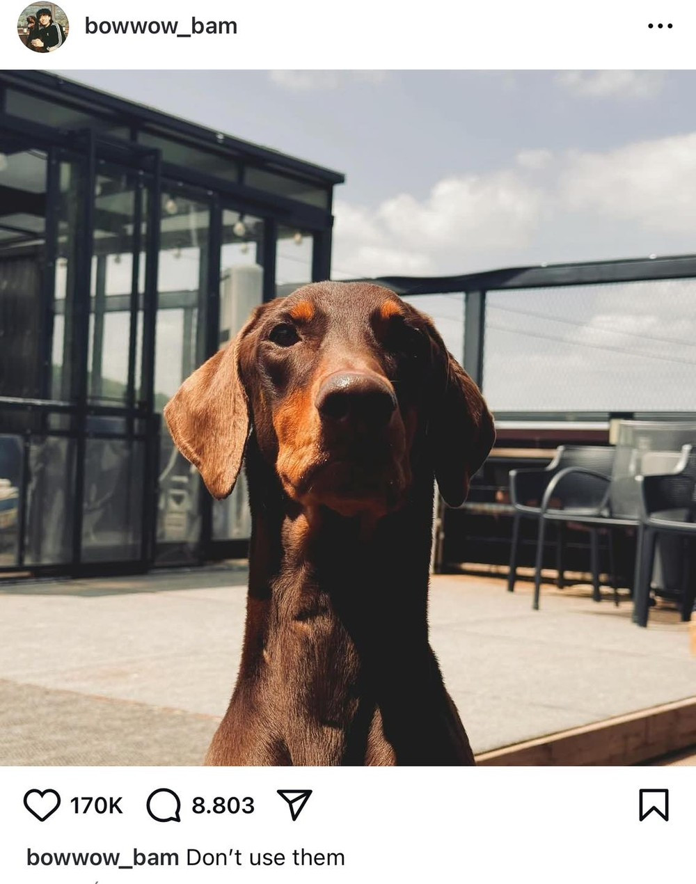 2 bài đăng của Jung Kook.