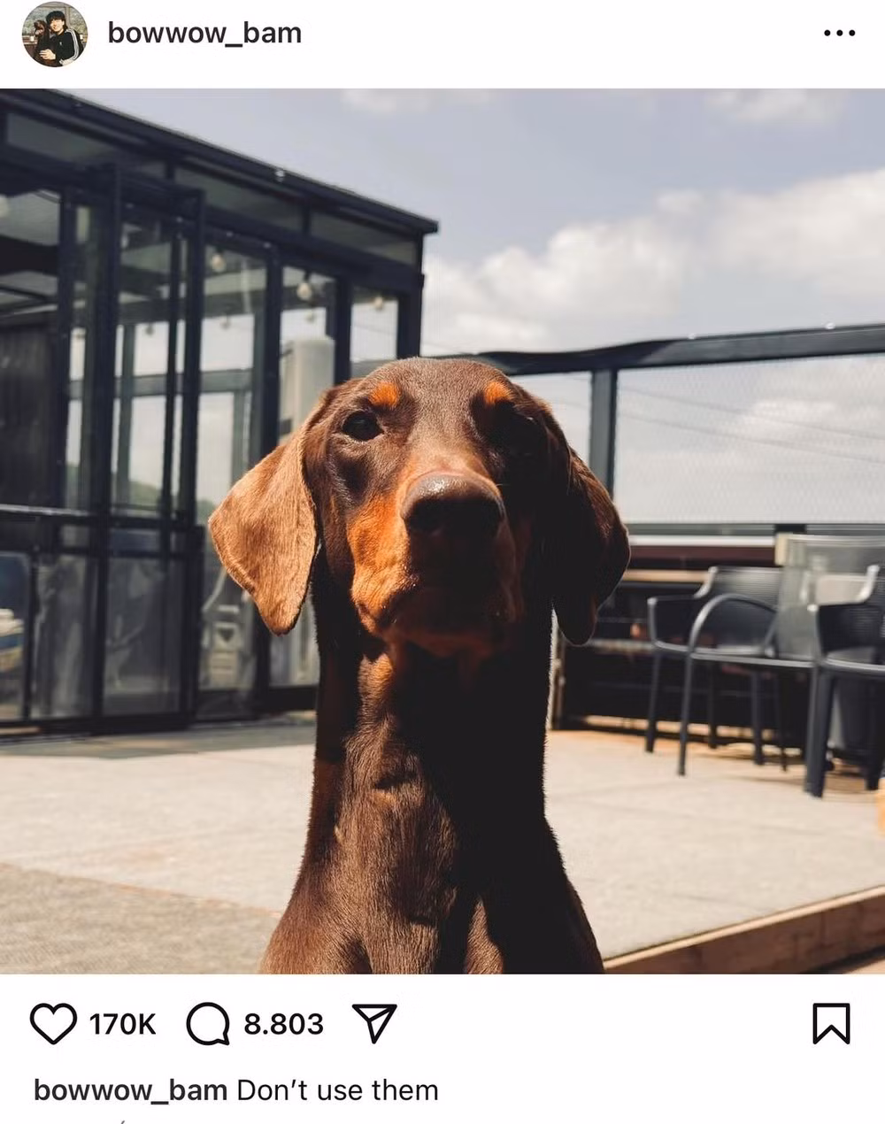 2 bài đăng của Jung Kook.