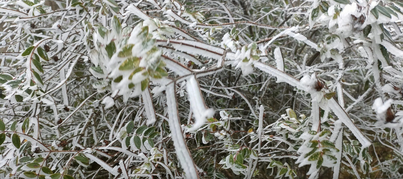 Ảnh: A Lù/ Tuổi Trẻ Online