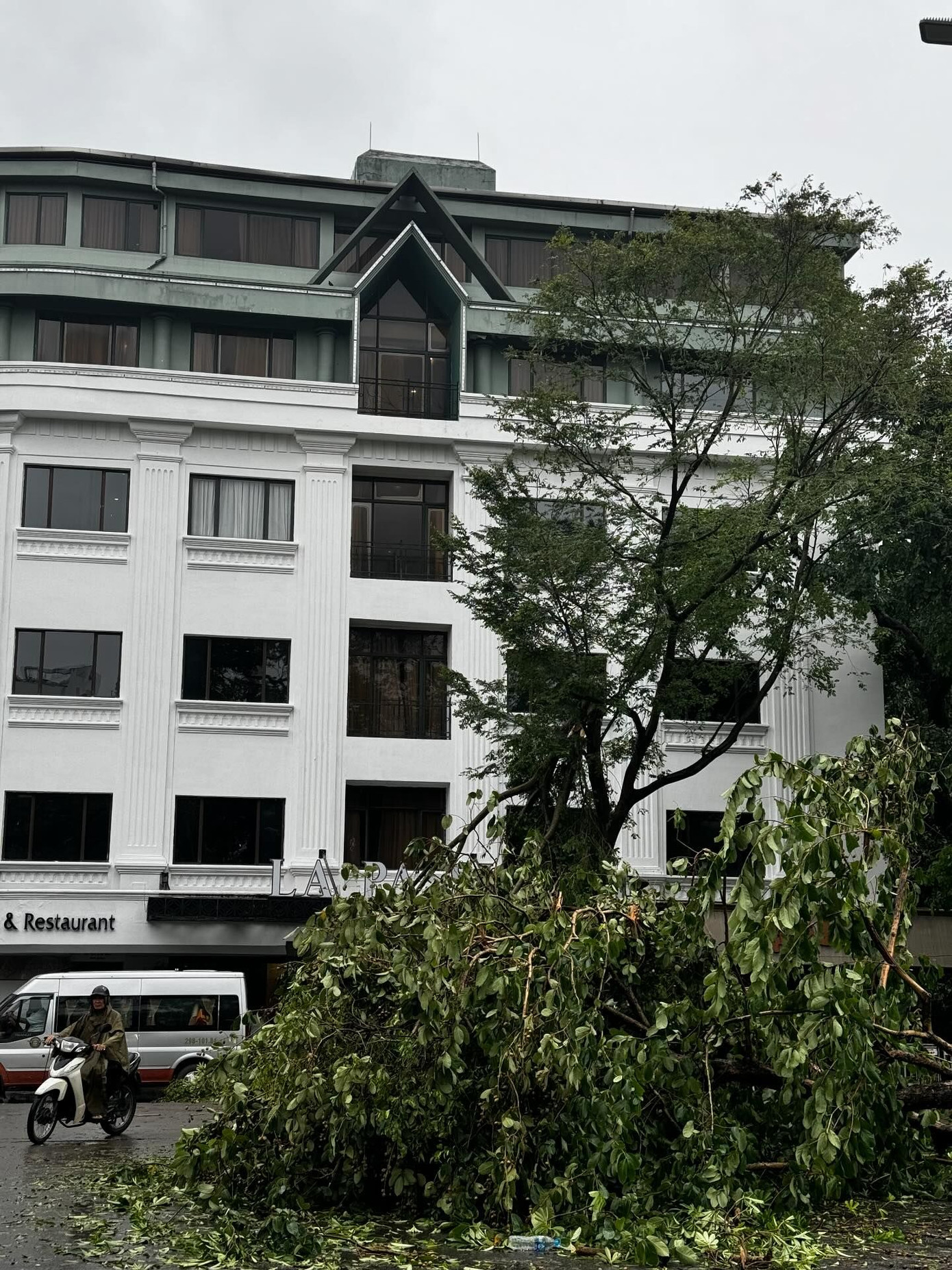 Ảnh: mituchan259 Ảnh: mituchan259