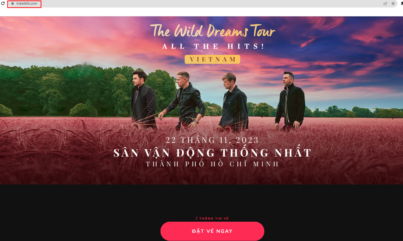 Giao diện của web giả được làm tinh vi.