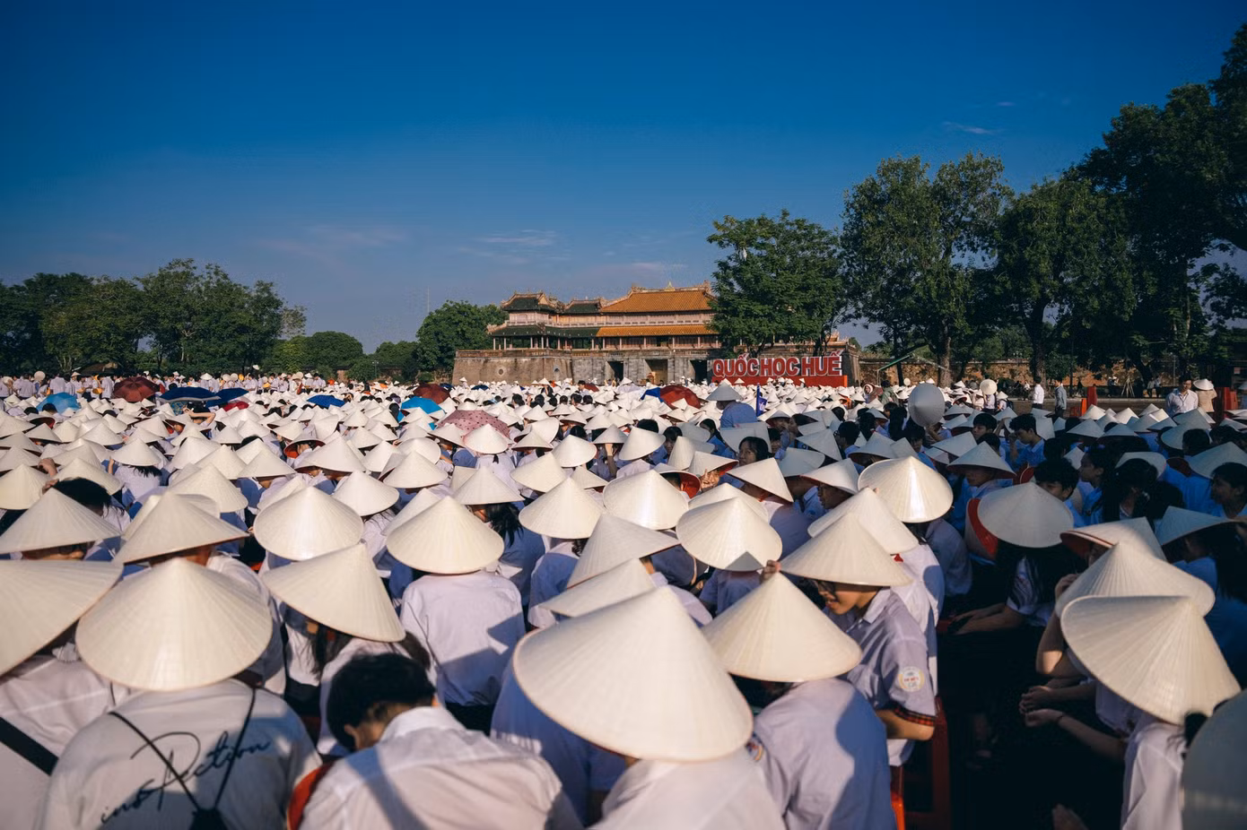 Ảnh: FB Trường Bùi