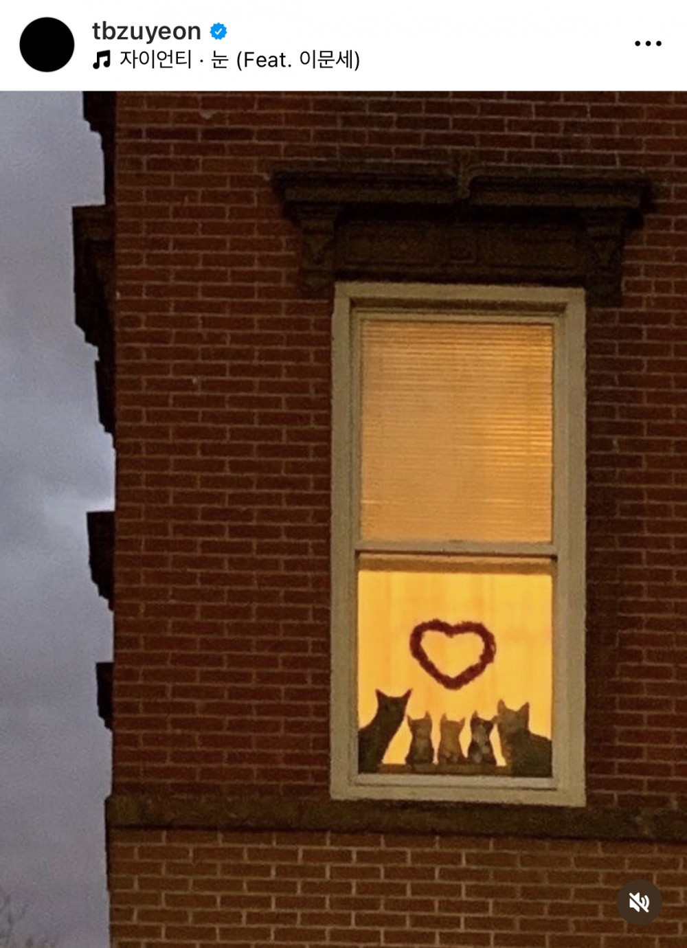 Người viết cũng nhấn mạnh đây là lần đầu tiên Juyeon thêm một bài hát vào Instagram của mình, anh đính kèm là ảnh gia đình mèo, mà mèo là icon đại diện cho cả Jennie và Juyeon.