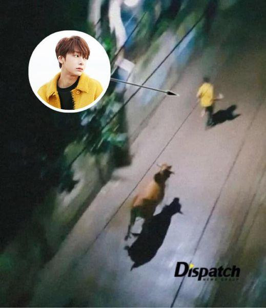 "Meme sống" của nhà MONSTA X cũng không thể "thoát khỏi" tay fan trong trào lưu "bò đuổi". - Nguồn: All About Monsta X - Vtrans