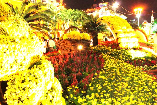 Hoa lung linh trong ánh đèn