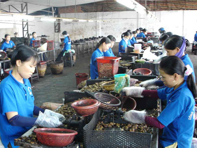 Bệnh nghề nghiệp luôn là nỗi lo của người lao động