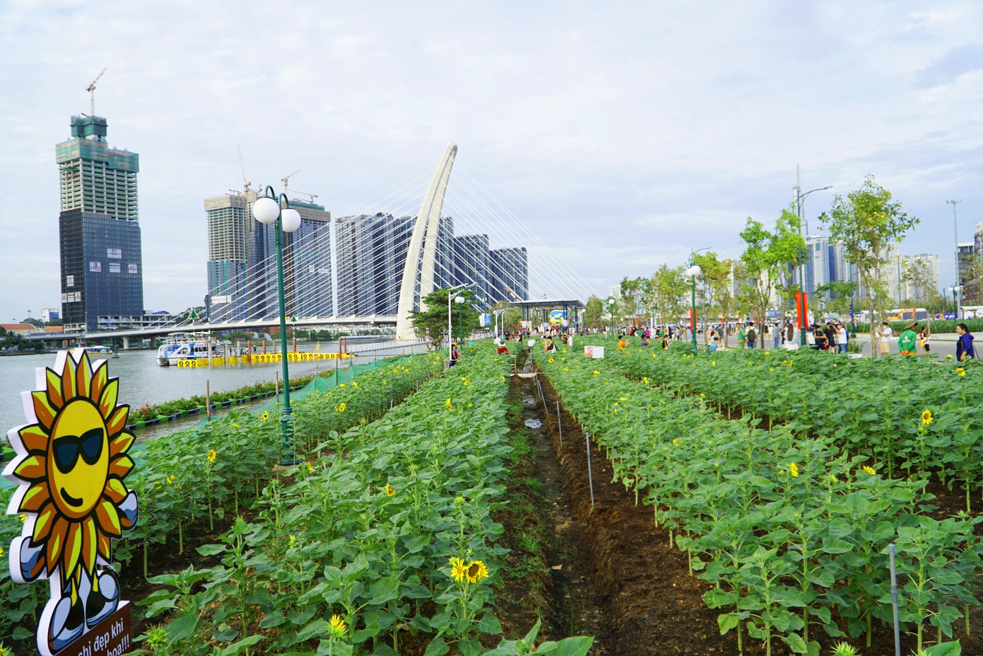 Ngoài khánh thành và thông xe các dự án kể trên, mới đây UBND TP Thủ Đức cũng vừa khánh thành công viên bờ sông Sài Gòn sau 1 tháng khẩn trương thi công.