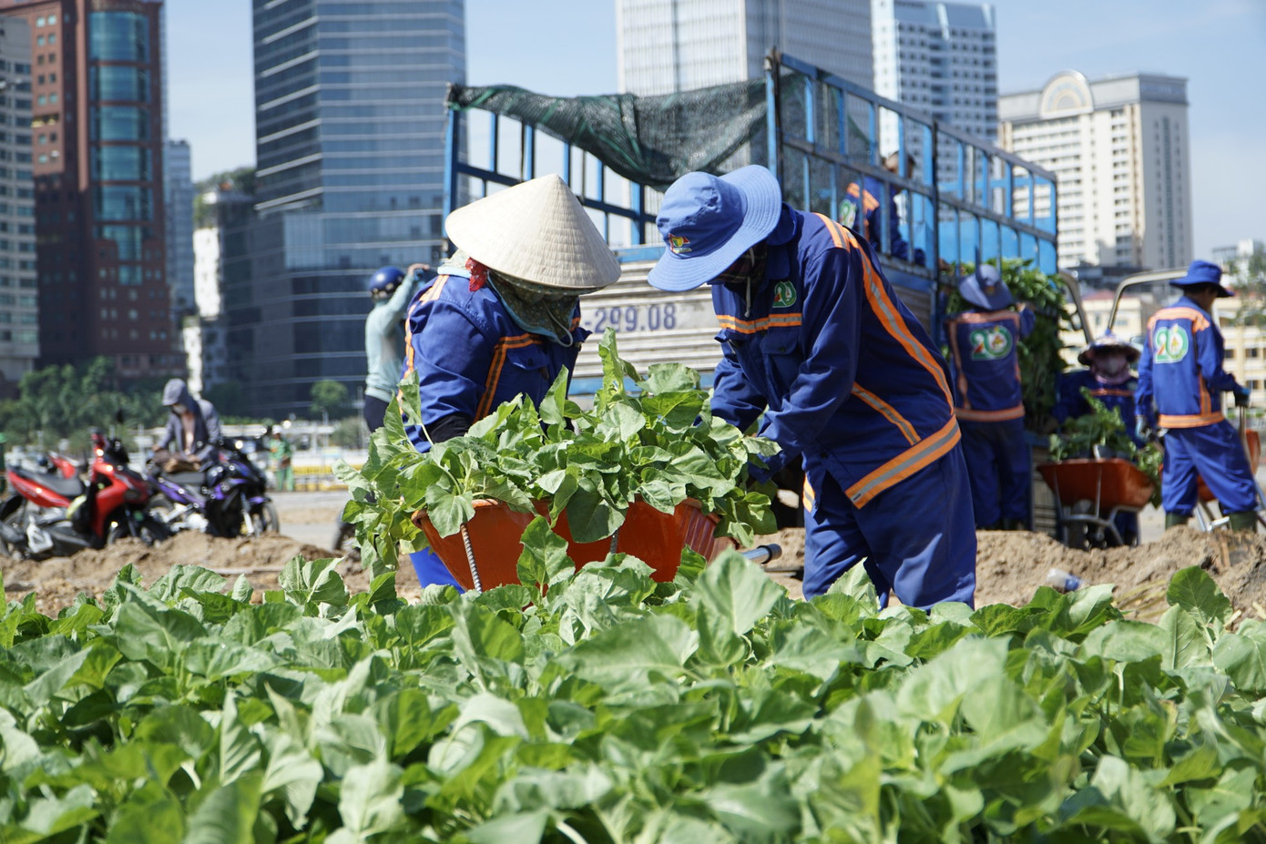 Ông Hoàng Tùng, Chủ tịch UBND TP Thủ Đức cho biết, công viên bờ sông Sài Gòn là không gian tôn vinh những giá trị văn hóa, lịch sử của vùng đất Thủ Thiêm. Công viên không chỉ là nơi giữ gìn và phát triển cây xanh, mà còn là sự kết nối giữa truyền thống và hiện đại.