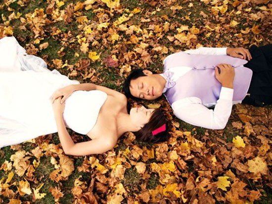 Sau khi tốt nghiệp ĐH New South Wales, ngành công nghệ thông tin ở Australia năm 2006, Lê Anh Vinh nhận học bổng tiến sĩ toàn phần của những trường đại học nổi tiếng: Harvard, MIT, Berkeley, Stanford, Yale, Cambridge và Oxford. Anh quyết định theo học trường Harvard và hoàn thành khoá học vào tháng 5/2010