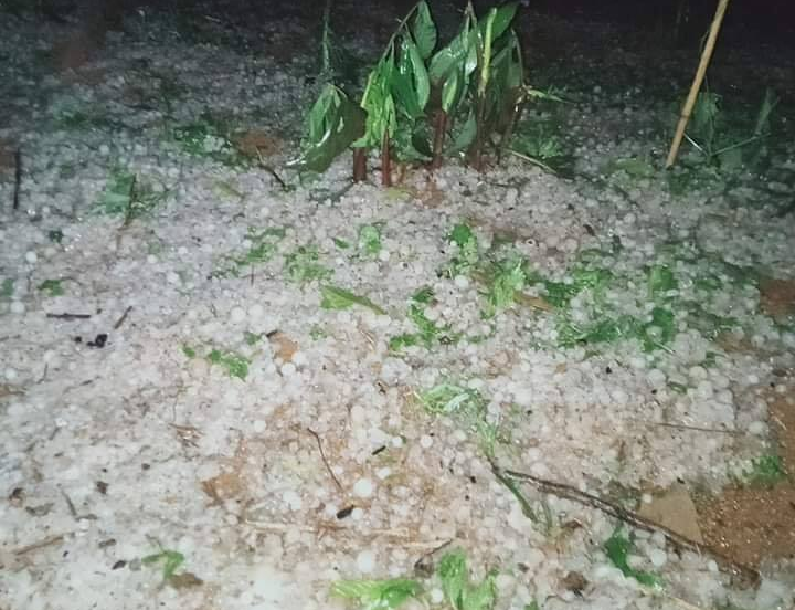 Giông lốc, mưa đá cuốn bay 11 lều bạt phòng chống COVID -19 ở biên giới ảnh 16