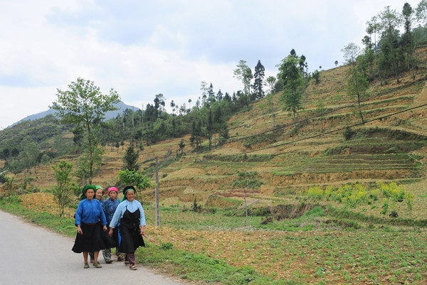 Người dân vùng cao sống quyện cùng với đá, những ngôi nhà được dựng lên với bốn bề là đá. Tất cả cuộc sống của con người vùng cao đều gắn liền với đá. Đá dùng để làm nhà Làm hàng rào Hay đá đan xen với những luống hoa cải vàng tạo nên một bức tranh thật ấn tượng Người dân vùng cao trồng trọt trên những khe đá, trong những hốc đất nhỏ. Và thu hoạch cũng ngay tại vườn nhà Những ngọn núi đá trùng trùng điệp điệp, những cánh đồng đá trải dài bất tận, tất cả cứ tràn vào nhau, hoà quyện vào nhau thành một bức tranh tuyệt đẹp nơi cực bắc Tổ quốc. Cao nguyên đá Đồng Văn dù có tới và trở lại vẫn thấy là lạ, vì nó đẹp, cái đẹp hoang dại, từ con người đến cảnh vật. Cái đẹp mà khi trải nghiệm rồi, vẫn có chút gì đó rất thú vị.