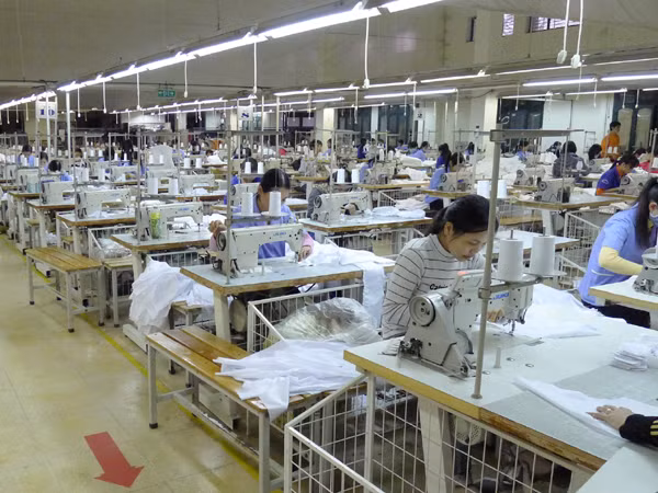 Doanh nghiệp đang cố bơi vượt qua thời kỳ cam go	Ảnh: Xuân Phú