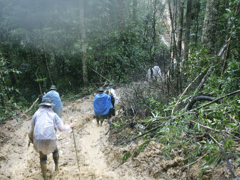 Đường lên nơi cắm mốc đầy sình lầy. Ảnh: N.T