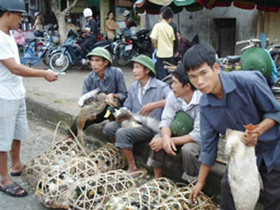 Cận rằm, vịt bán rất chạy 