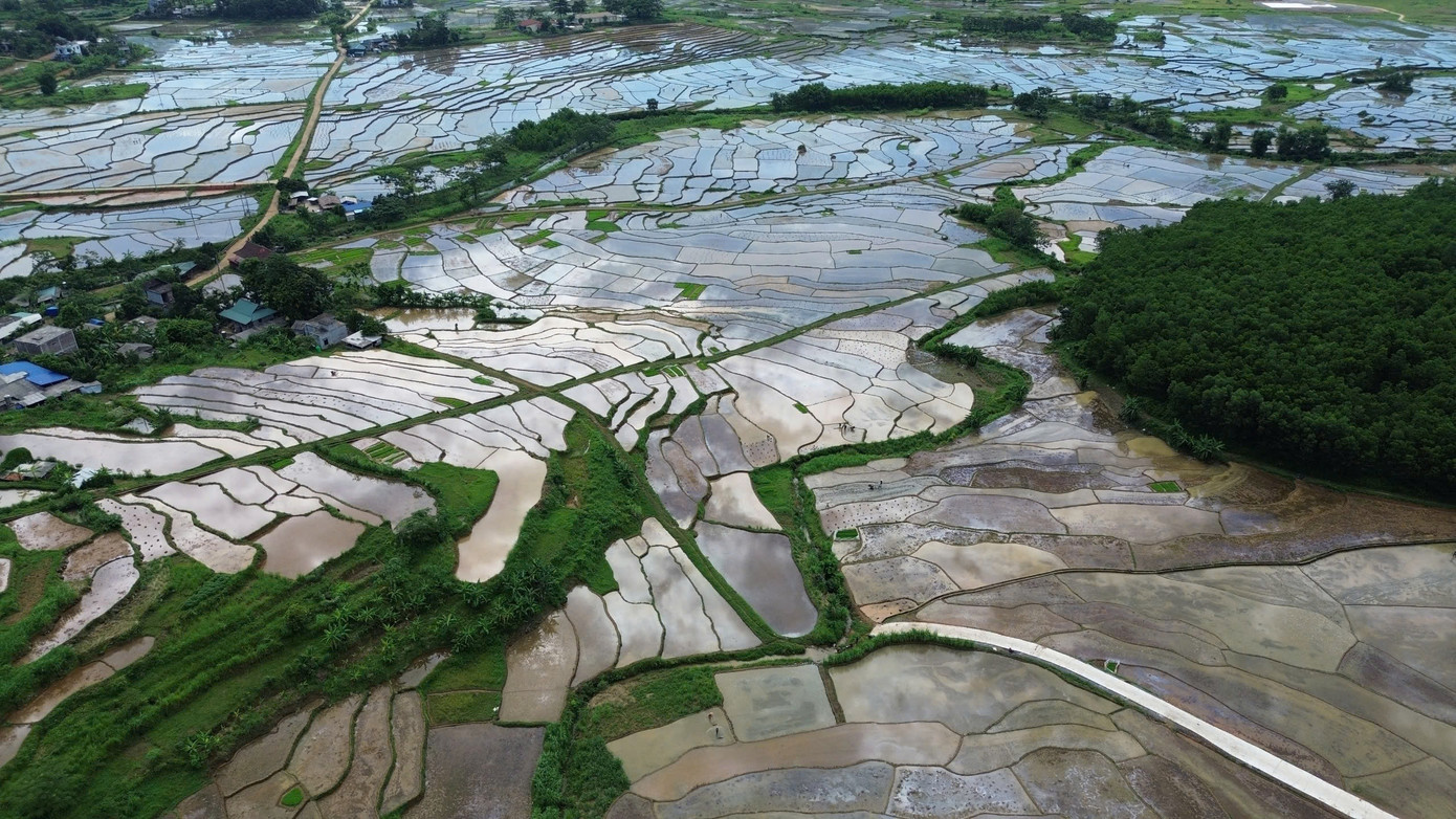 Theo người dân Mường Vang, việc trồng lúa giờ không chỉ bảo đảm lương thực mà còn phục vụ du lịch. “Cùng với Mường Bi, Mường Vang cũng có ruộng bậc thang tuyệt đẹp, nên chúng tôi sẽ tận dụng lợi thế để phát triển du lịch, tăng thu nhập cho gia đình”, ông Nghịch chia sẻ thêm.