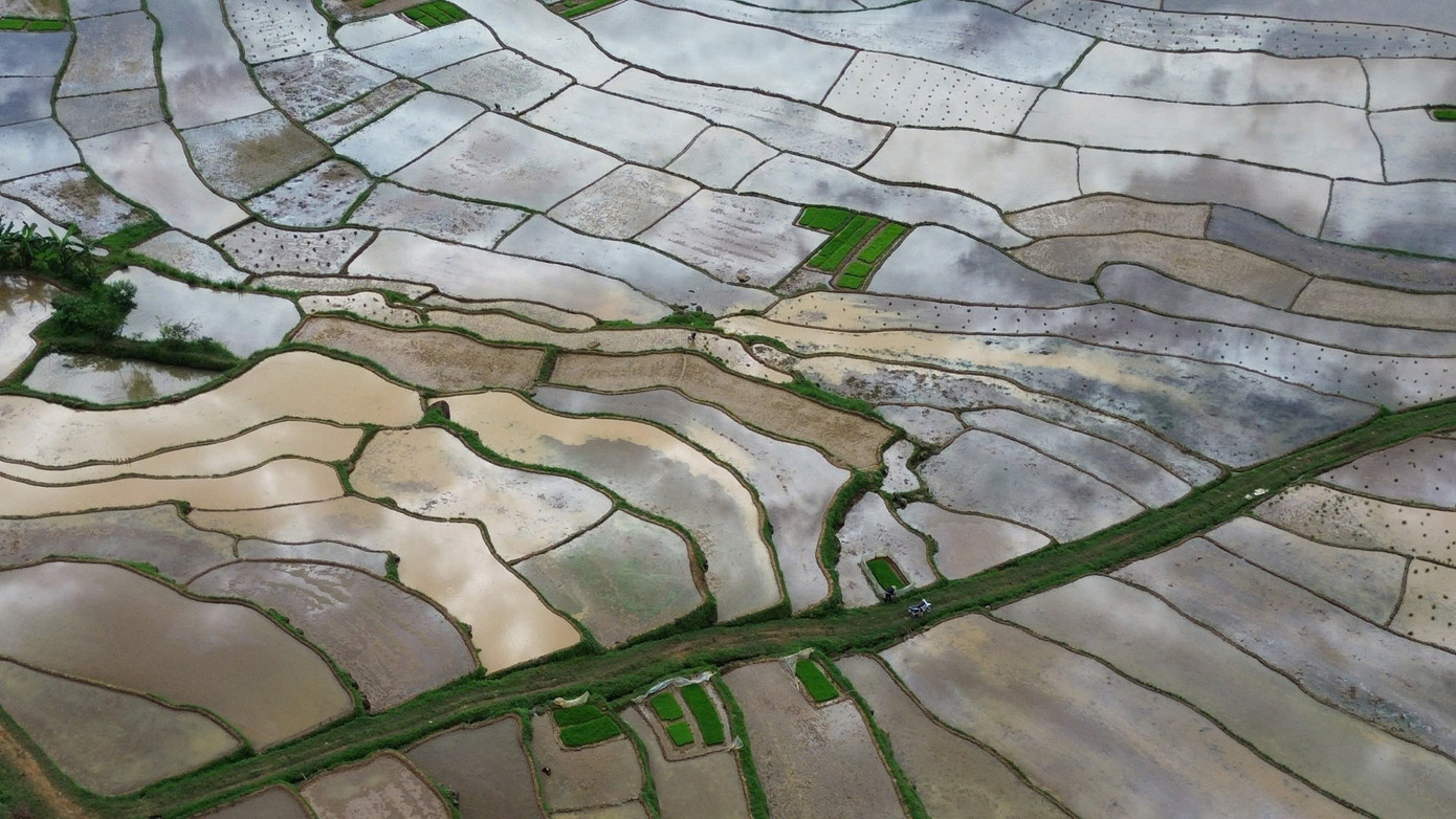 Theo người dân Mường Vang, việc trồng lúa giờ không chỉ bảo đảm lương thực mà còn phục vụ du lịch. “Cùng với Mường Bi, Mường Vang cũng có ruộng bậc thang tuyệt đẹp, nên chúng tôi sẽ tận dụng lợi thế để phát triển du lịch, tăng thu nhập cho gia đình”, ông Nghịch chia sẻ thêm.