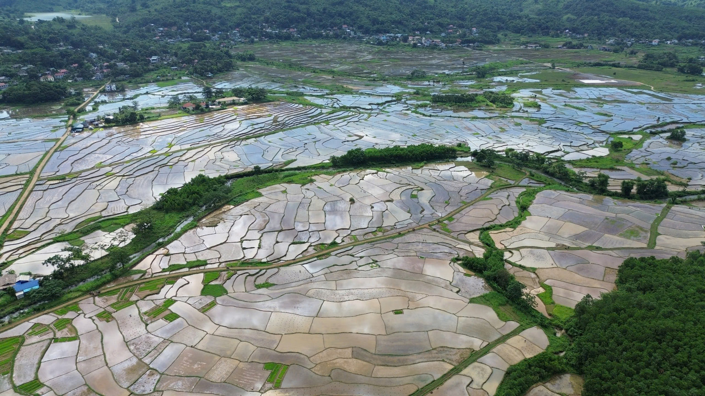 Ông Bùi Văn Nghịch (46 tuổi, thôn Rài, xã Mường Vang) chia sẻ vụ mùa năm nay, gia đình tôi gieo hơn 8 kg giống lúa làm mạ để cấy ruộng bậc thang. Bà con chúng tôi ở đây chỉ trồng được một vụ, như gia đình tôi thu mỗi vụ được khoảng 40 bao thóc, bảo đảm lương thực cho cả năm.