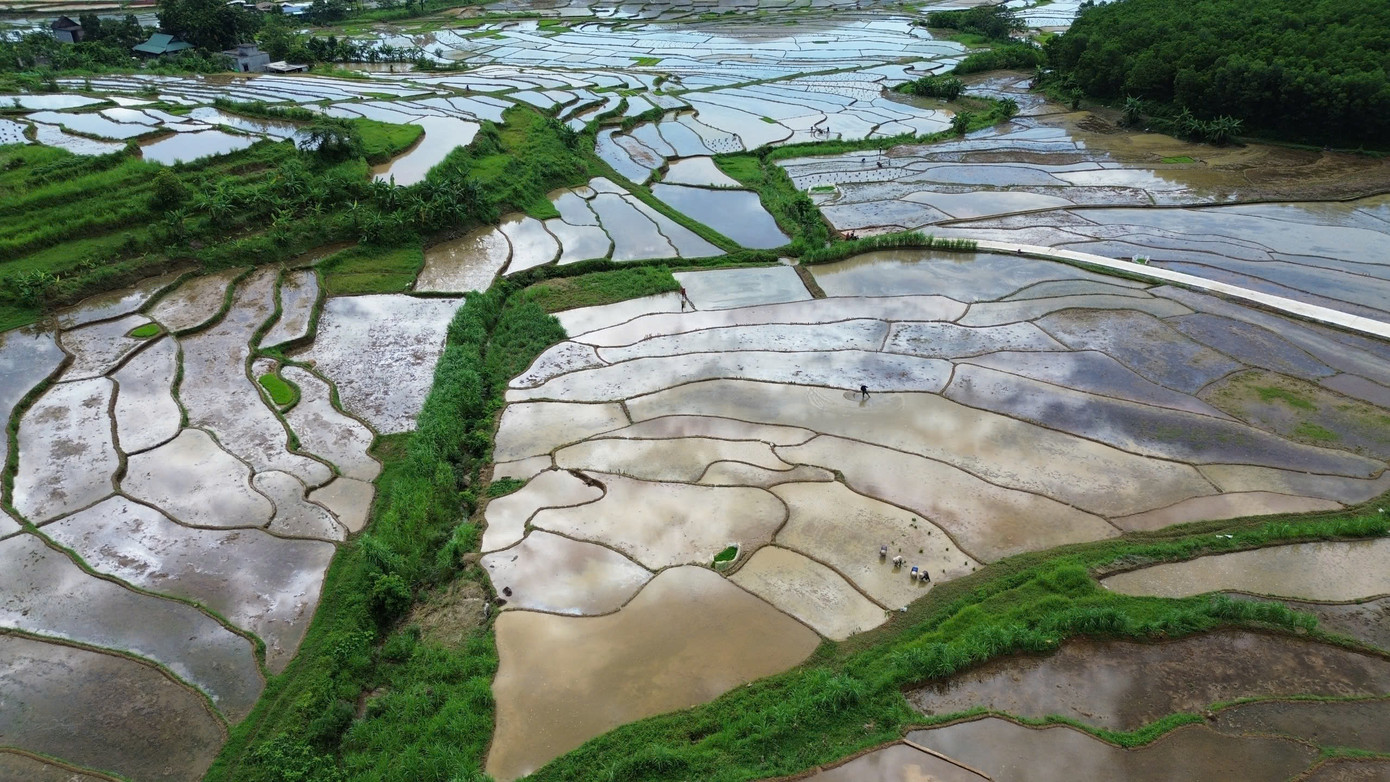 “Để có một mùa bội thu, chúng tôi làm đất rất kỹ, rồi dẫn nước vào ruộng, làm đất, đắp bờ cẩn thận”, ông Nghịch nói.