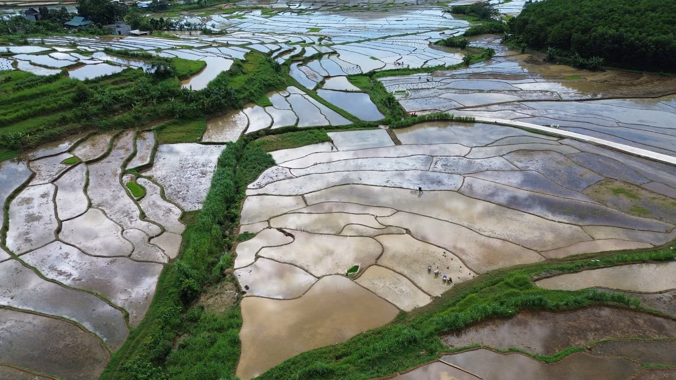 “Để có một mùa bội thu, chúng tôi làm đất rất kỹ, rồi dẫn nước vào ruộng, làm đất, đắp bờ cẩn thận”, ông Nghịch nói.