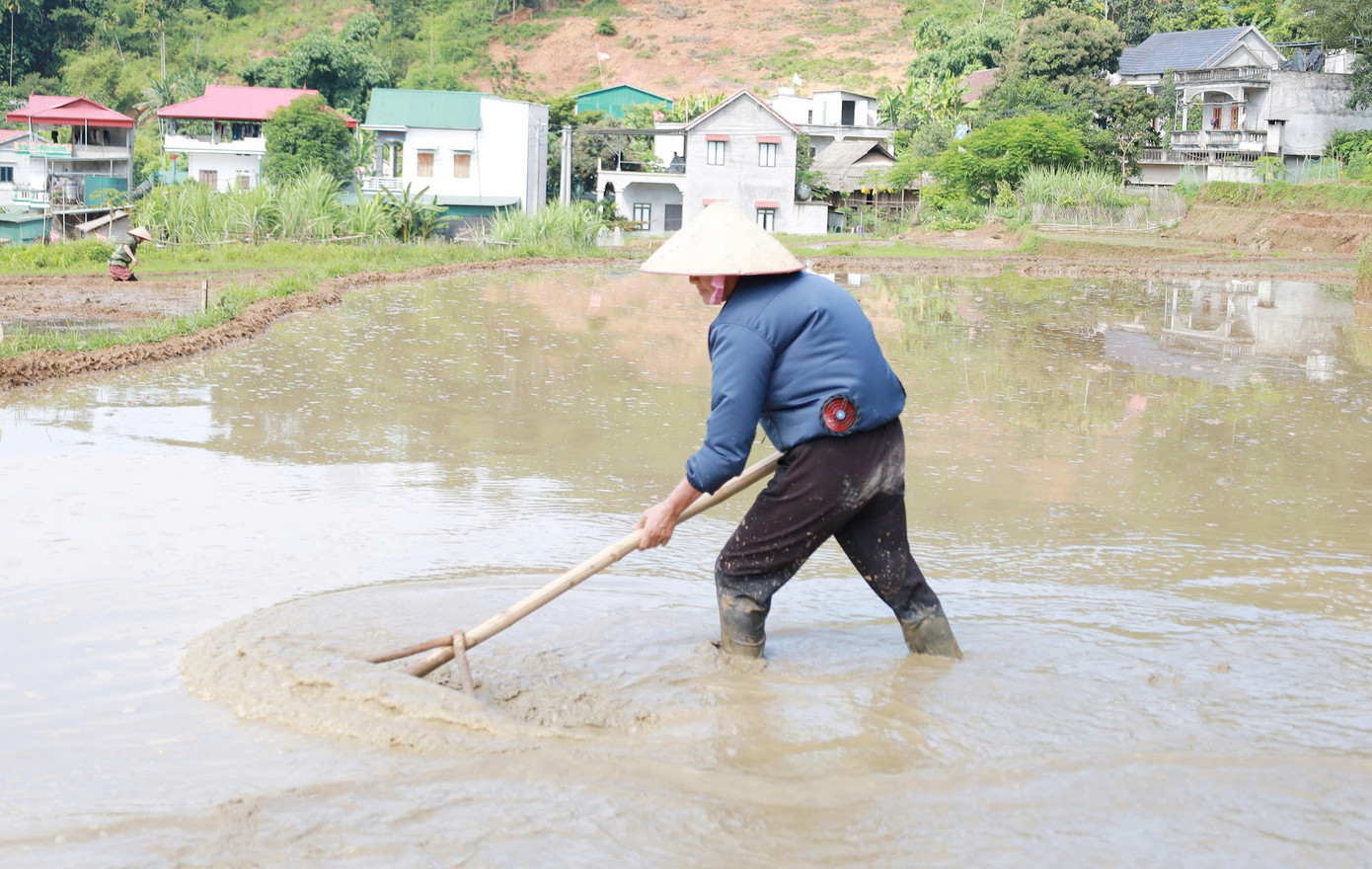 Để có một mùa vàng bội thu, người dân Mường Vang chăm chút những thửa ruộng kỹ càng, cẩn thận. Ông Bùi Văn Nghĩa, (50 tuổi, thôn Rài) nói, muốn được mùa, hạt lúa to tròn, vàng óng như nắng hè thì phải làm đất thật kỹ càng, cẩn thận, sạch sẽ. Lúa phải được tưới tắm bằng dòng nước suối trong lành.
