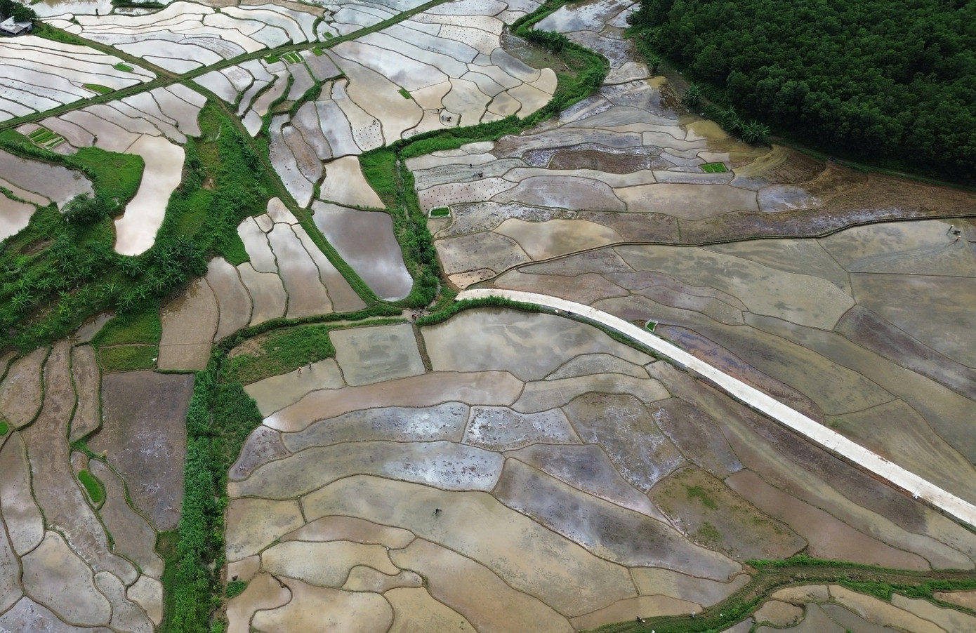 “Để có một mùa bội thu, chúng tôi làm đất rất kỹ, rồi dẫn nước vào ruộng, làm đất, đắp bờ cẩn thận”, ông Nghịch nói.