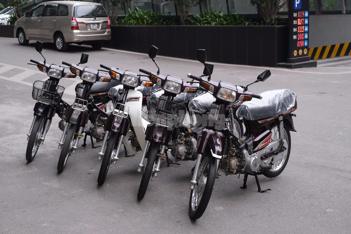 Bộ sưu tập của Quân Quý là những mẫu xe số cổ luôn được săn đón với giá cao ngất ngưởng. Bộ sưu tập của Quân Quý là những mẫu xe số cổ luôn được săn đón với giá cao ngất ngưởng.