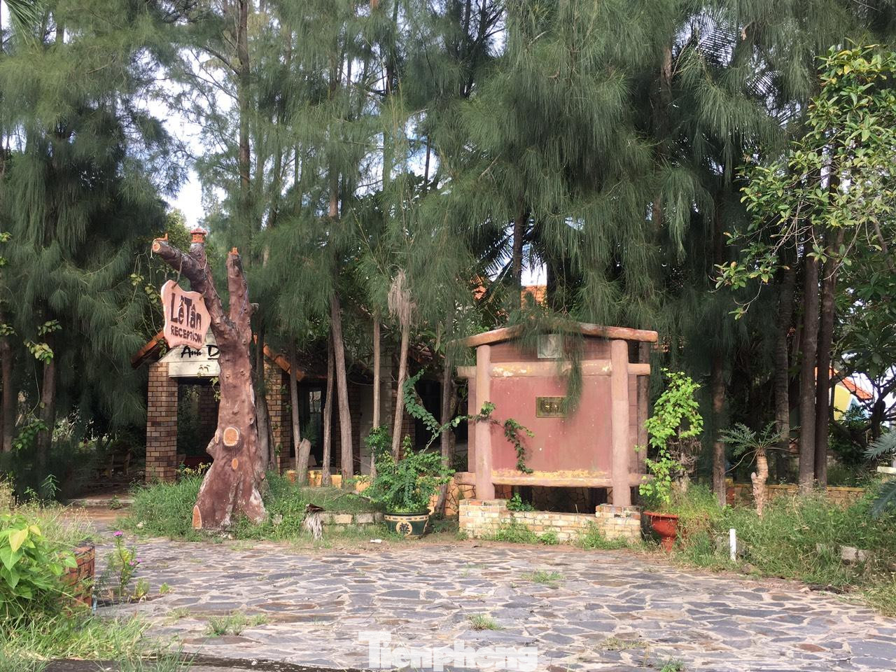 Chưa kể, với ưu thế nằm giữa sân bay quốc tế Long Thành và sân bay Phan Thiết, Kê Gà sẽ thu hút thêm một lượng lớn du khách từ phía Bắc đổ vào và đặc biệt là khách du lịch quốc tế. Chưa kể, với ưu thế nằm giữa sân bay quốc tế Long Thành và sân bay Phan Thiết, Kê Gà sẽ thu hút thêm một lượng lớn du khách từ phía Bắc đổ vào và đặc biệt là khách du lịch quốc tế.