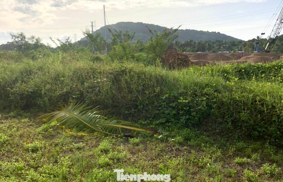 Đất bà Hoa Sen đang sử dụng hợp pháp và ổn định, thế nhưng UBND TP.Phú Quốc lại thu hồi mà không có quyết định thu hồi đất.