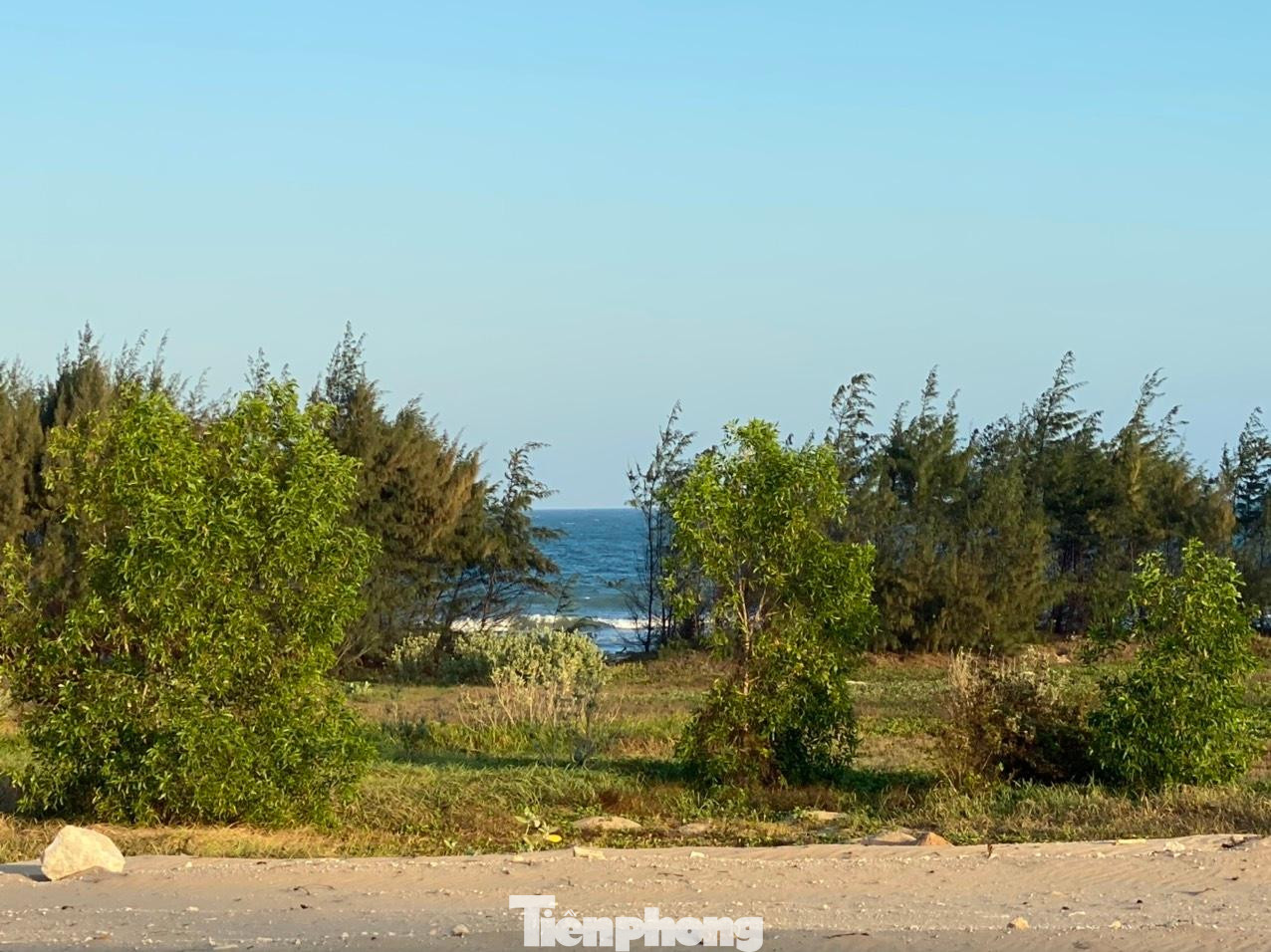 Tổng diện tích 125.419,8m2 (12,54 ha); trong đó có 104.811,3m2 (10,48 ha) tại xã Thuận Quý, huyện Hàm Thuận Nam có mục đích sử dụng là đất thương mại dịch vụ thuộc địa bàn có điều kiện kinh tế - xã hội khó khăn theo quy định tại Phụ lục số II Nghị định số 118/2015/NĐ-CP ngày 12/11/2015 của Chính phủ hướng dẫn thi hành Luật Đầu tư 2014 nhưng dự án Khu dịch vụ du lịch cộng đồng Biển quê hương không thuộc là ngành, nghề ưu đãi theo quy định tại điểm i Khoản 1 Điều 16 Luật Đầu tư 2014 và tại Phụ lục I Nghị định số 118/2015/NĐ-CP ngày 12/11/2015 của Chính phủ hướng dẫn thi hành Luật Đầu tư 2014. Tổng diện tích 125.419,8m2 (12,54 ha); trong đó có 104.811,3m2 (10,48 ha) tại xã Thuận Quý, huyện Hàm Thuận Nam có mục đích sử dụng là đất thương mại dịch vụ thuộc địa bàn có điều kiện kinh tế - xã hội khó khăn theo quy định tại Phụ lục số II Nghị định số 118/2015/NĐ-CP ngày 12/11/2015 của Chính phủ hướng dẫn thi hành Luật Đầu tư 2014 nhưng dự án Khu dịch vụ du lịch cộng đồng Biển quê hương không thuộc là ngành, nghề ưu đãi theo quy định tại điểm i Khoản 1 Điều 16 Luật Đầu tư 2014 và tại Phụ lục I Nghị định số 118/2015/NĐ-CP ngày 12/11/2015 của Chính phủ hướng dẫn thi hành Luật Đầu tư 2014.