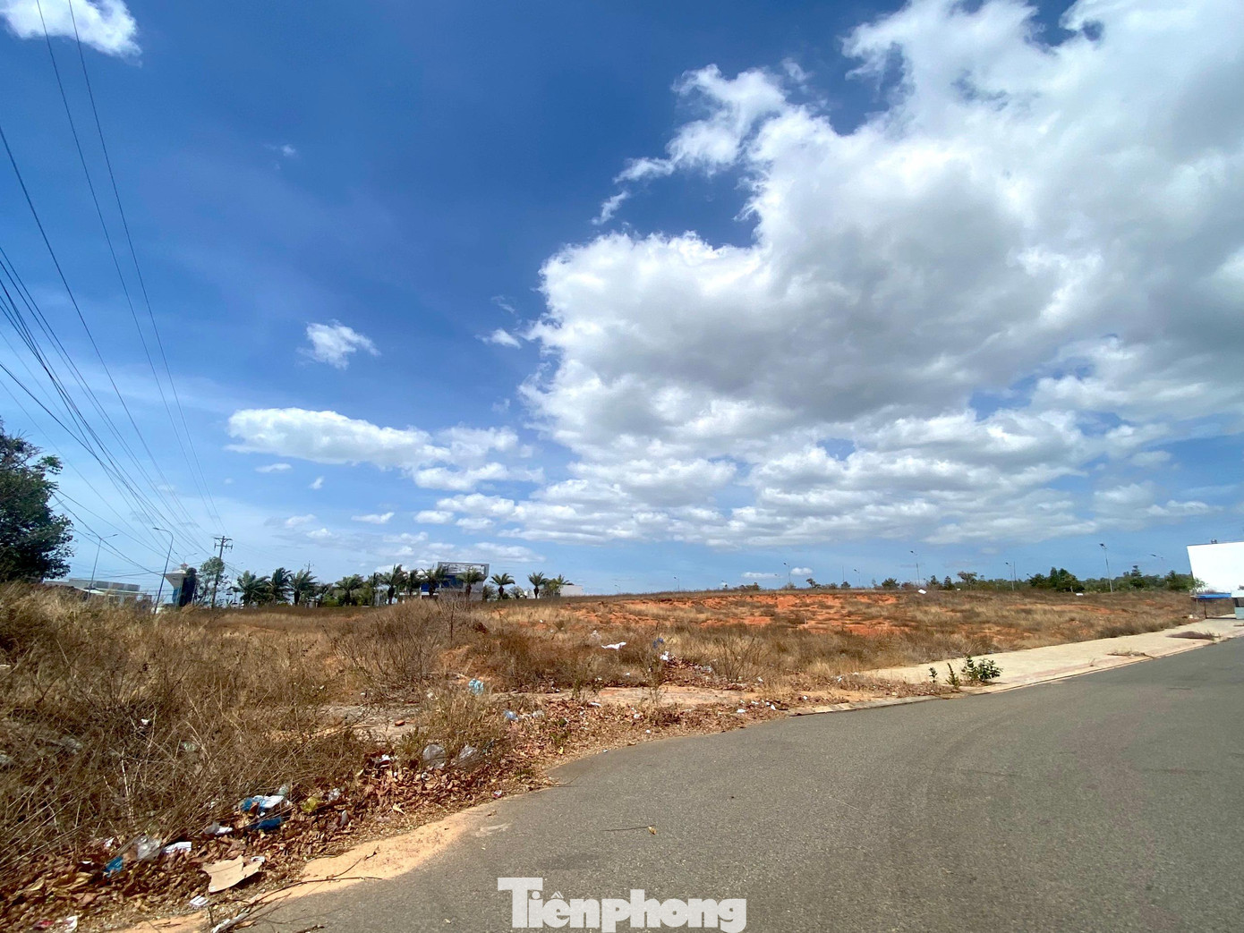 Cụ thể, vào ngày 3/2/2017, Sở TN-MT có công văn gửi UBND tỉnh Bình Thuận đề nghị giao 3 lô đất số 18, 19 và 20 cho Công ty CP Tân Việt Phát không qua đấu giá quyền sử dụng đất, mà chỉ tính theo giá khởi điểm vào năm 2013 là khoảng 111 tỷ đồng/3 lô.