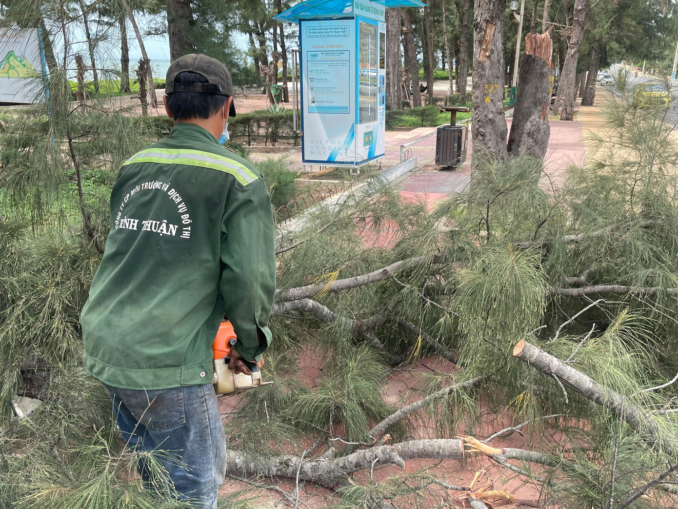 Bình Thuận cắt tỉa cây xanh, đề phòng ngã đổ trong bão Noru.
