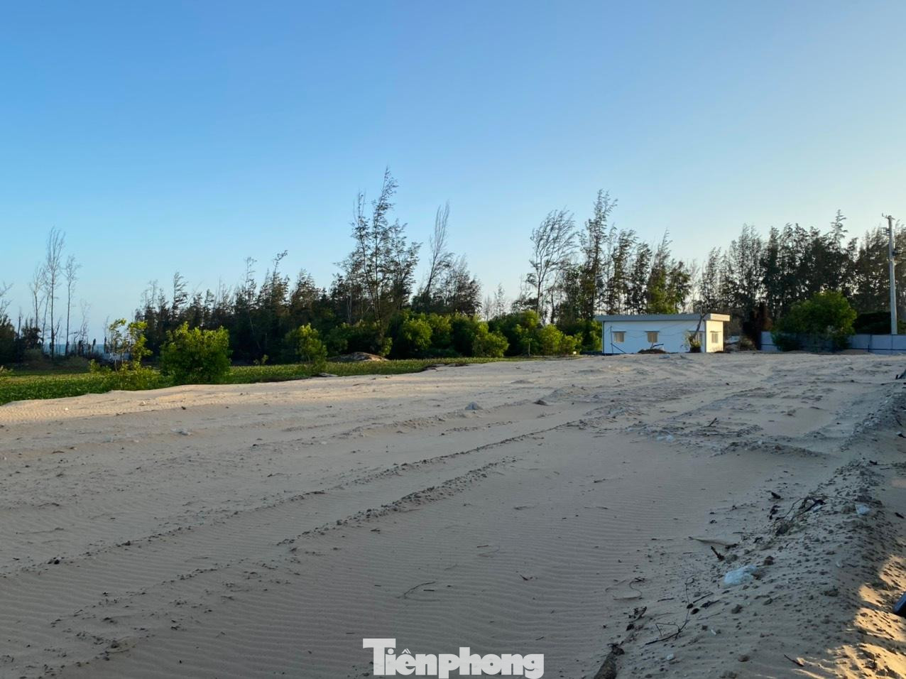 Dư luận tại Bình Thuận đặt vấn đề, cho dù 7,17ha rừng phi lao phòng hộ ven biển có chuyển sang mục đích khác thì rừng này vẫn là tài sản của nhà nước, tại sao không thực hiện đấu giá theo quy định tại điểm b Khoản 1 Điều 119 của Luật Đất đai 2013? Dư luận tại Bình Thuận đặt vấn đề, cho dù 7,17ha rừng phi lao phòng hộ ven biển có chuyển sang mục đích khác thì rừng này vẫn là tài sản của nhà nước, tại sao không thực hiện đấu giá theo quy định tại điểm b Khoản 1 Điều 119 của Luật Đất đai 2013?